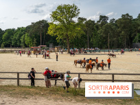 Le Grand Parquet Fontainebleau - photos  - A7C02562