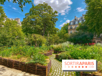 Jardin Médiéval du Musée de Cluny - IMG 3877
