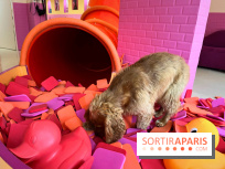 Patapwouf, le spot cani-friendly de Saint-Ouen - nos photos - 039E98EA 14EC 4A45 835B A43C1DA1FDC6