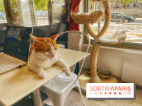 Chat-Rivari Café