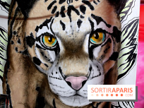 Les Bombasphères investissent le bar Balou à Paris 