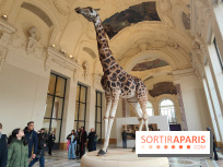 Art Basel 2025 : des installations d'art contemporain originales et gratuites à voir au Petit Palais