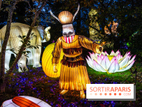 Thoiry Lumières Sauvages 2025 : le Bal des Esprits - A7C09489