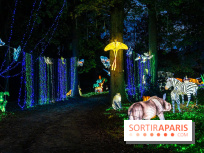 Thoiry Lumières Sauvages 2025 : le Bal des Esprits - A7C09500