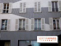 Daniel Buren et Miles Greenberg, nos photos de l'expo au Reiffers Art Inititiatives à Paris 