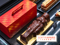 Bûches de Noël de Pascal Caffet 2025 et créations de fête - A7C08601