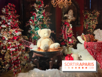 Le Grand Noël 2025 du château de Vaux-le-Vicomte : des décorations magiques pour une balade hivernale mémorable - fotor 1763143980196