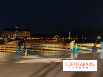 Le Grand Noël 2025 du château de Vaux-le-Vicomte : des décorations magiques pour une balade hivernale mémorable - fotor 1763143298491