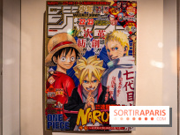 Exposition Manga au Musée Guimet, les photos