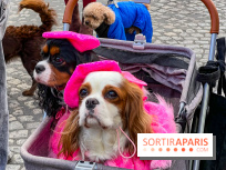 La Marche des animaux à Paris : défilé gratuit, ouvert aux chiens, chats ... sur les Champs-Élysées - IMG 5610