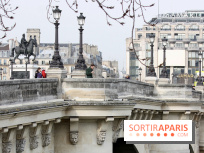 Visuels Paris - Pont Neuf 