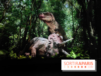 Dinosaures : l'expérience immersive qui nous fait remonter le temps à l'Atelier des Lumières, photos - fotor 1764680104761