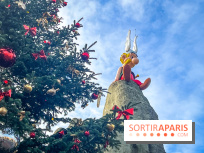 Noël au Parc Astérix 2025, patinoire et marché de Noël  - IMG 7537