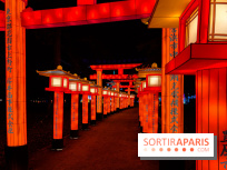 Le Japon en Lumières : le parcours lumineux et festival des lanternes 2025 du Jardin d'Acclimatation - IMG 4847