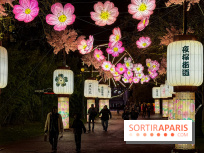 Le Japon en Lumières : le parcours lumineux et festival des lanternes 2025 du Jardin d'Acclimatation