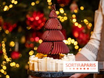 Bûche de Noël Cheval Blanc 2025 : Maxime Frédéric dévoile un sapin exceptionnel - photos