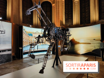 Zeus, chef d'œuvre d'artisans : une exposition sur le cheval des JO au musée des Arts et Métiers - fotor 1765963845428