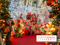 Ce passionné en Essonne transforme son jardin en Village de Noël à visiter gratuitement