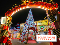 Ce passionné en Essonne transforme son jardin en Village de Noël à visiter gratuitement
