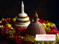 Les bûches de Noël glacées de Bachir spécial dômes parisiens