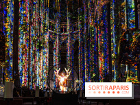 L'Odyssée Céleste à l'église Saint-Eustache à Paris, le nouveau spectacle Luminiscence 
