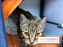 Le Chatelier  - IMG 2495