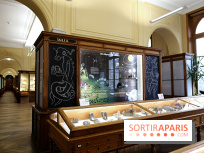 Codex on the Rocks, nos photos de l'expo au Musée de Minéralogie à Paris