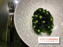 Mantra - Chou rave, kale, coco fermentée, crevettes