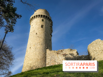 Ile-de-France : La Tour de Montlhéry au panorama unique sur l'Essonne