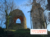 Ile-de-France : La Tour de Montlhéry au panorama unique sur l'Essonne