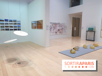 Exposition Contraste et indifférence au Centre culturel canadien - nos photos