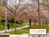 Les cerisiers du parc Martin Luther King - Clichy - Batignoles