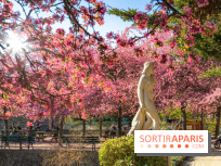 Les pommiers et cerisiers en fleurs du Jardin de Reuilly, Parc de Reuilly à Paris 12e - photos  - visuel