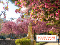 Les pommiers et cerisiers en fleurs du Jardin de Reuilly, Parc de Reuilly à Paris 12e - photos  - visuel