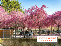 Les pommiers et cerisiers en fleurs du Jardin de Reuilly, Parc de Reuilly à Paris 12e - photos  - table pique nique 