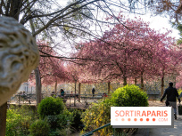 Les pommiers et cerisiers en fleurs du Jardin de Reuilly, Parc de Reuilly à Paris 12e - photos  - A7C09294