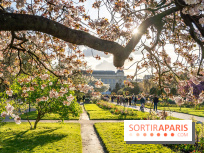 Les floraisons exceptionnelles du Jardin des Plantes 2026 : tulipes, coquelicots et cerisiers - photos - A7C00582