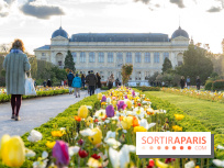 Les floraisons exceptionnelles du Jardin des Plantes 2026 : tulipes, coquelicots et cerisiers - photos - A7C00630