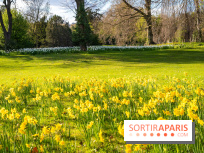 Le Parc de Bagatelle au printemps, cerisier, tulipes et jonquilles - photos
