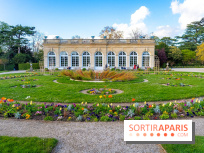Le Parc de Bagatelle au printemps, cerisier, tulipes et jonquilles - photos