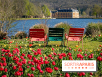 Les tulipes du Château de Dampierre, son jardin anglais et le jardin Le Nôtre