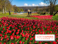 Les tulipes du Château de Dampierre, son jardin anglais et le jardin Le Nôtre