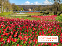 Les tulipes du Château de Dampierre, son jardin anglais et le jardin Le Nôtre