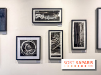 Fantôme à la galerie La Lison : exposition Avant les cendres - IMG 6198