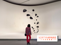 Calder. Rêver en Équilibre : l'exposition retrospective du  - IMG 2716