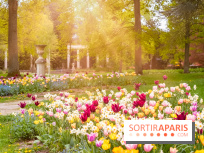 Le Château de Buc et son superbe domaine, parc paysagé aux nombreux trésors - A7C03157 Edit