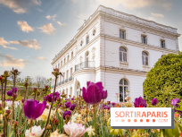 Le Château de Buc et son superbe domaine, parc paysagé aux nombreux trésors - A7C03222 Edit