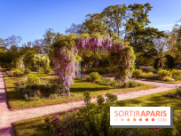 Le Parc des Ibis au Vésinet dans les Yvelines en Région Parisienne - photos  - A7200441