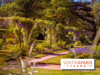Le Parc des Ibis au Vésinet dans les Yvelines en Région Parisienne - photos  - A7200695 2