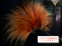 Plumes de Paradis, l'expo au musée du Quai Branly - nos photos